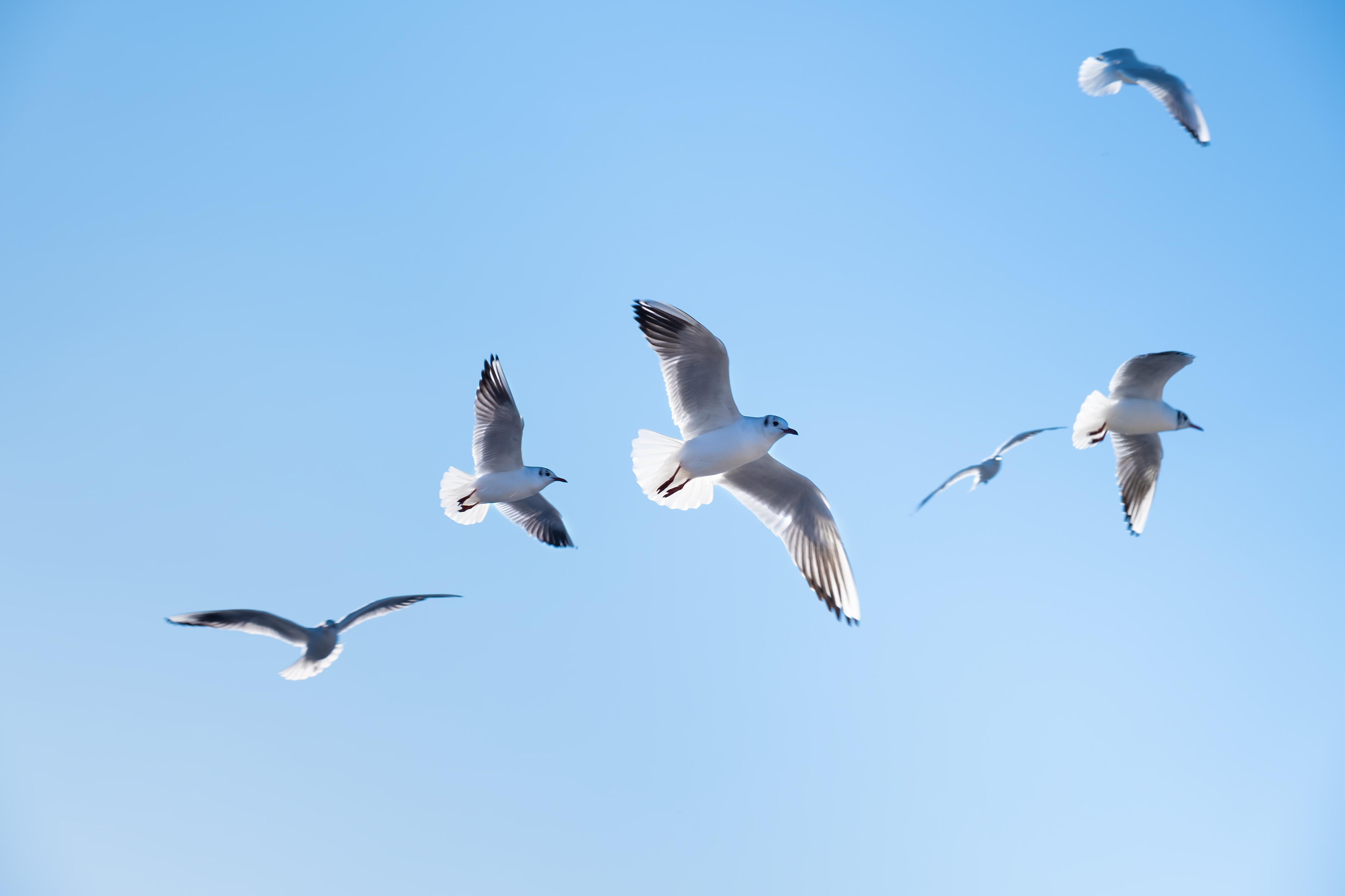 why-enterprise-software-delivery-takes-too-long